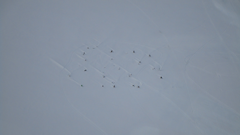 Overhead shot of the Bering Sea Ice Golf Classic course, with trees planted in the ice.